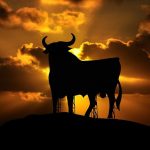 Descubre qué simboliza soñar con toros